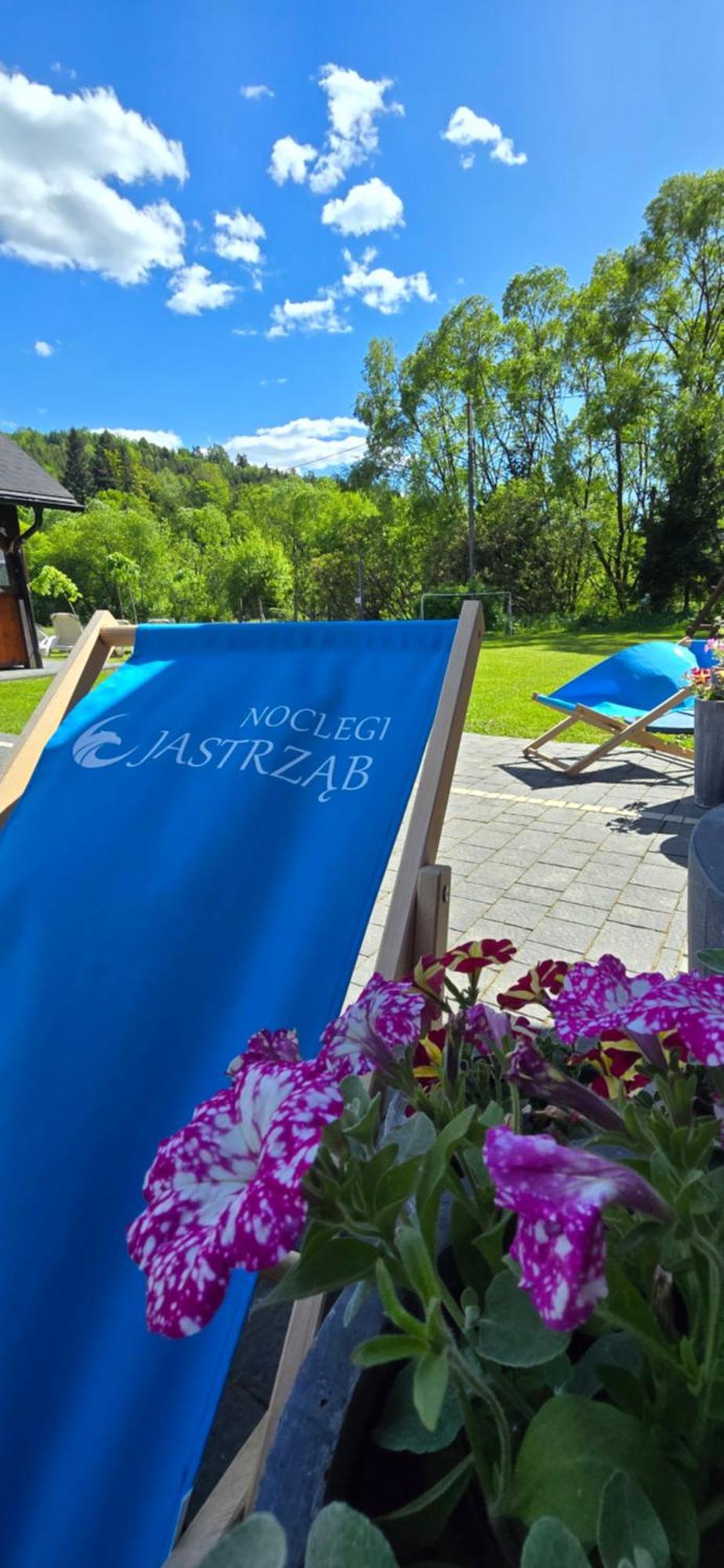 Jastrzab Apartment